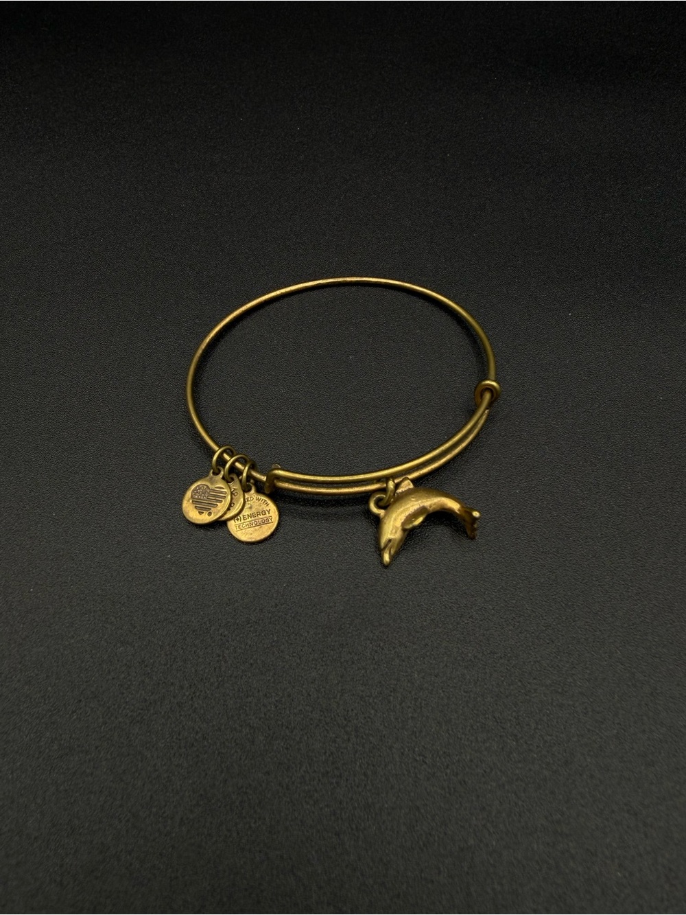 Dolphin Alex and Ani Bracelet